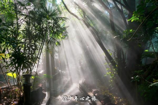 茜杰和莉斯大改造