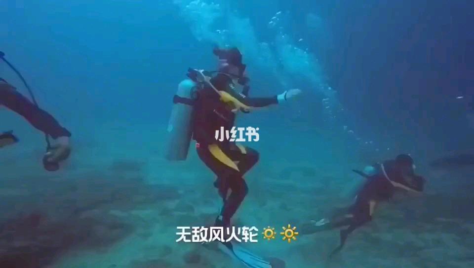 星际争霸2